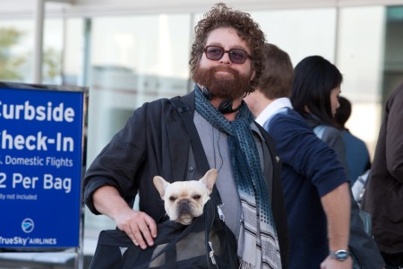 Zach Galifianakis in Due Date