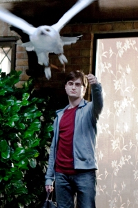 Harry says goodbye