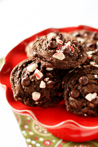 Chocolate peppermint holiday cookies
