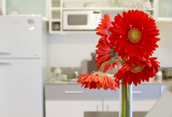 Add a splash of color
