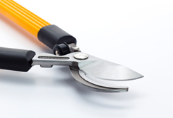 Keep plenty of tools and supplies on hand