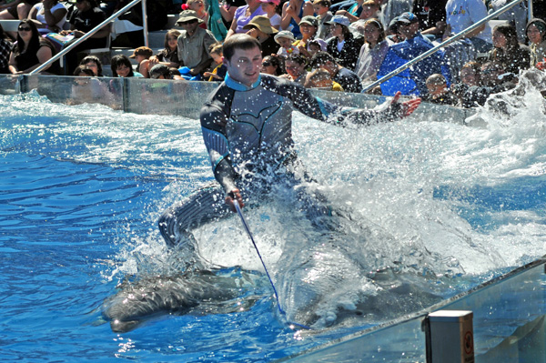 Sea World