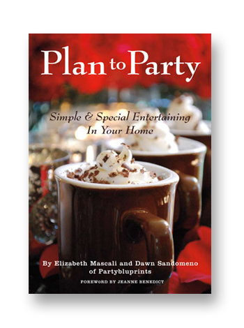 Plan to Party Book Cover