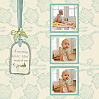 Digital Scrapbook Artist 2 from Serif