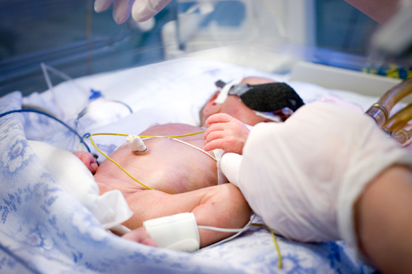 Newborn baby in incubator