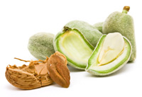 Almonds