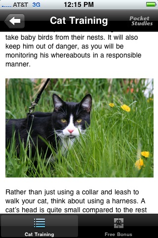 Cat Training