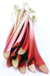 Rhubarb