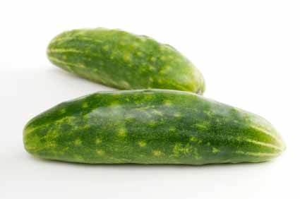 Cucumber