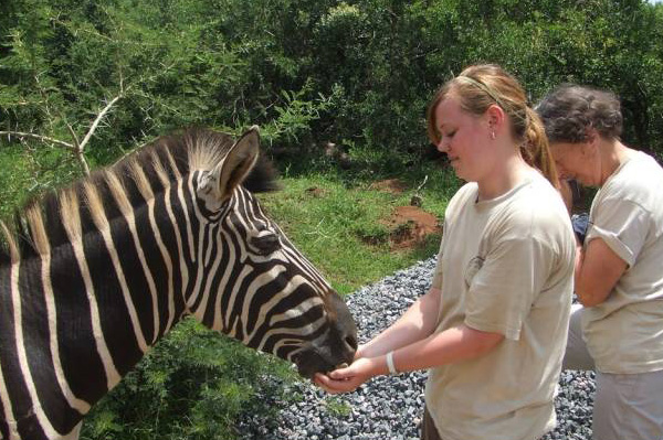 Wildlife vacation