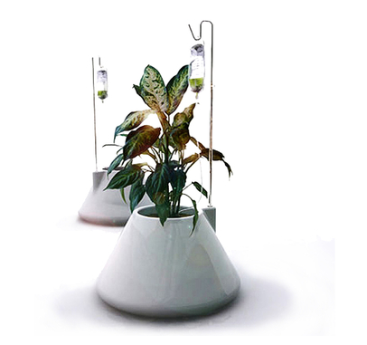 iv planters