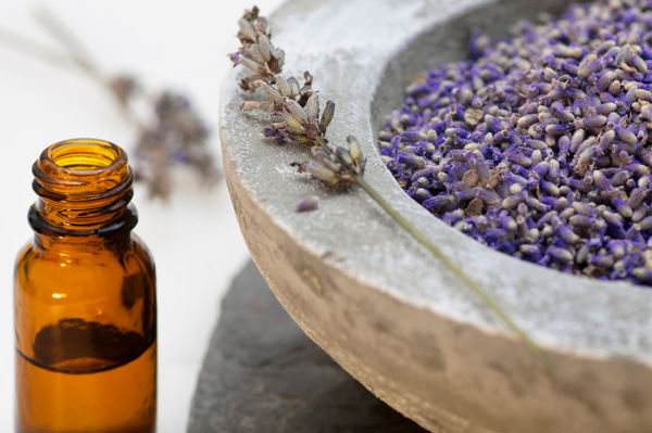 Lavender oil