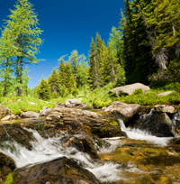 Mountain spring