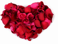 flower petal heart