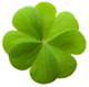 Shamrock