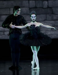 Black Swan Dancing