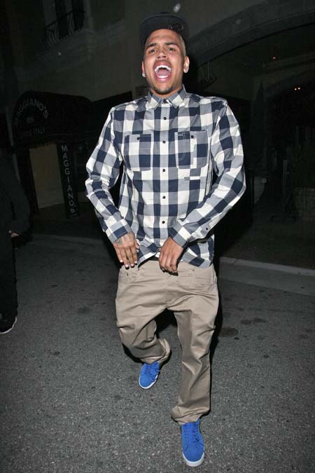 Chris Brown - WENN