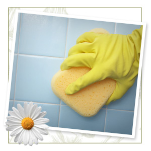 Clean the bathroom