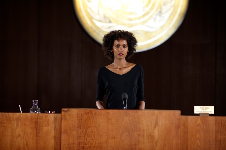 A Desert Flower takes to the UN
