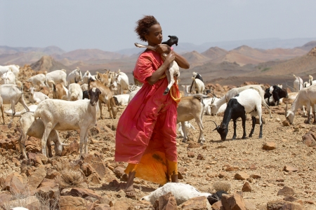 The perils of young women in Africa are chronicled in Desert Flower