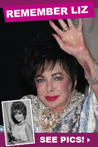 Elizabeth Taylor photo gallery