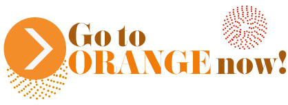 Best bright orange accessories