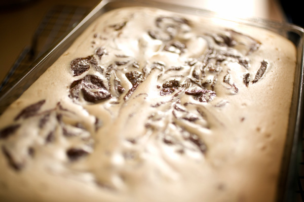 Peanut butter brownies