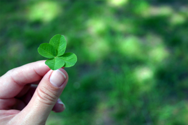 Plant shamrocks on St. Patrick's Day