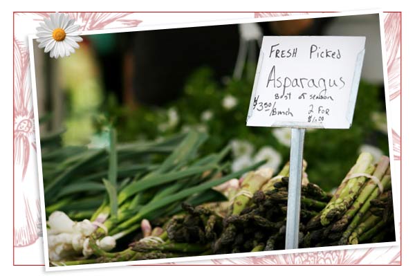 Fresh picked asparagus