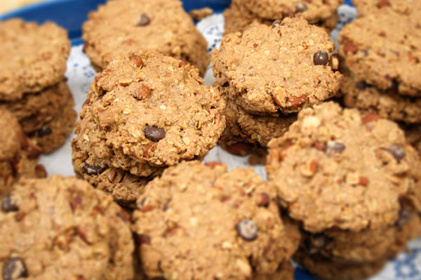 Chocolate chip raisin cookie