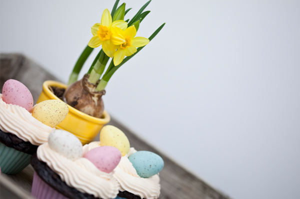 Cupcakes and flowers