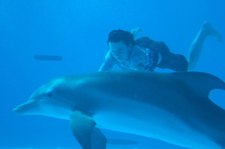 Dolphin Tale arrives in theaters in September 2011