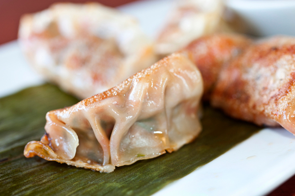 Fried pork dumplings