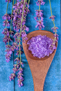 Lavender
