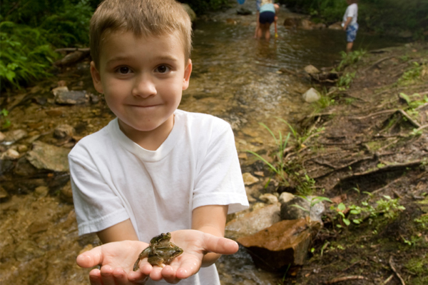 Little boy holding frog