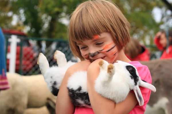 Little girl at petting zoo