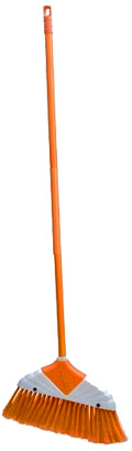 Orange broom