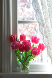 Sheer curtains