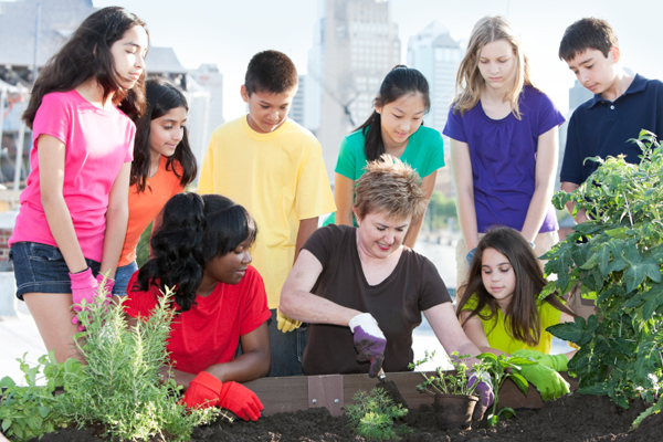 Urban gardening