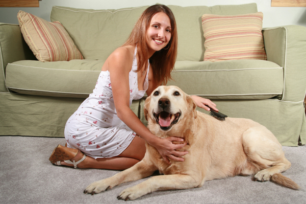Woman brushing dog