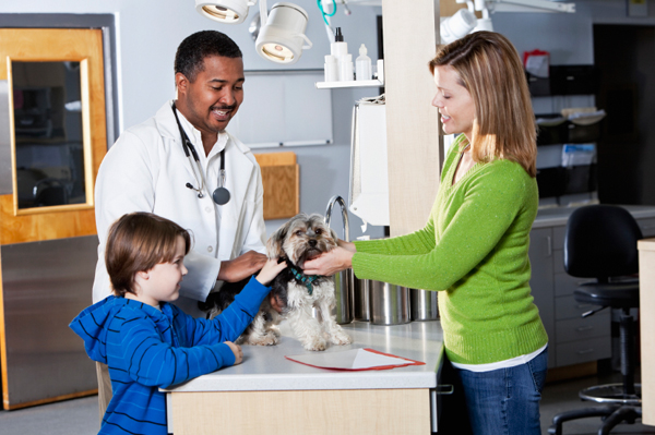 Woman at vet with dog