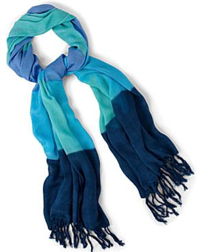 JC Penny's Ombre Scarf