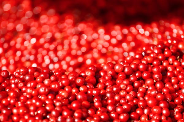 cranberries