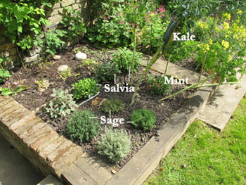 GOOP garden