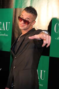 Mike Sorrentino The Situation