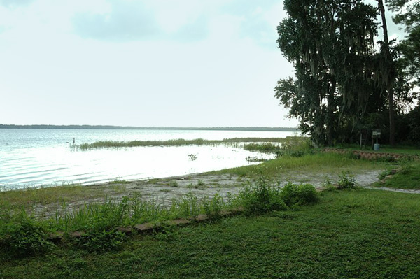 Ocean Pond