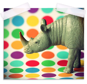 Polka Dot Rhino Fine Art Photography Print