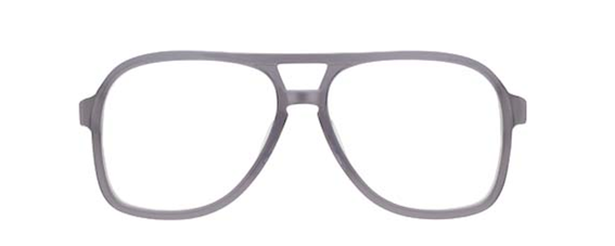 MOSCOT TERRY LE aviators Grey