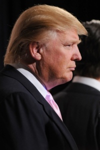 Donald Trump's hair