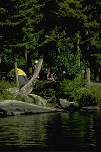 Voyageur State Park